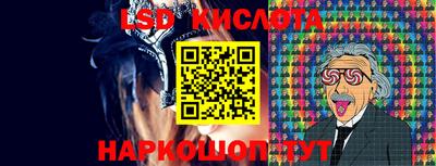 прущие грибы Ярославль