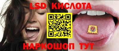 прущие грибы Ярославль