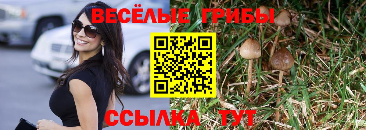Кирово-Чепецк  Псилоцибиновые грибы Magic Shrooms  где купить наркотик  Вход с VPN 